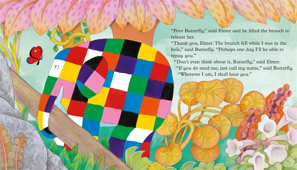 Elmer and the Butterfly by David McKee
