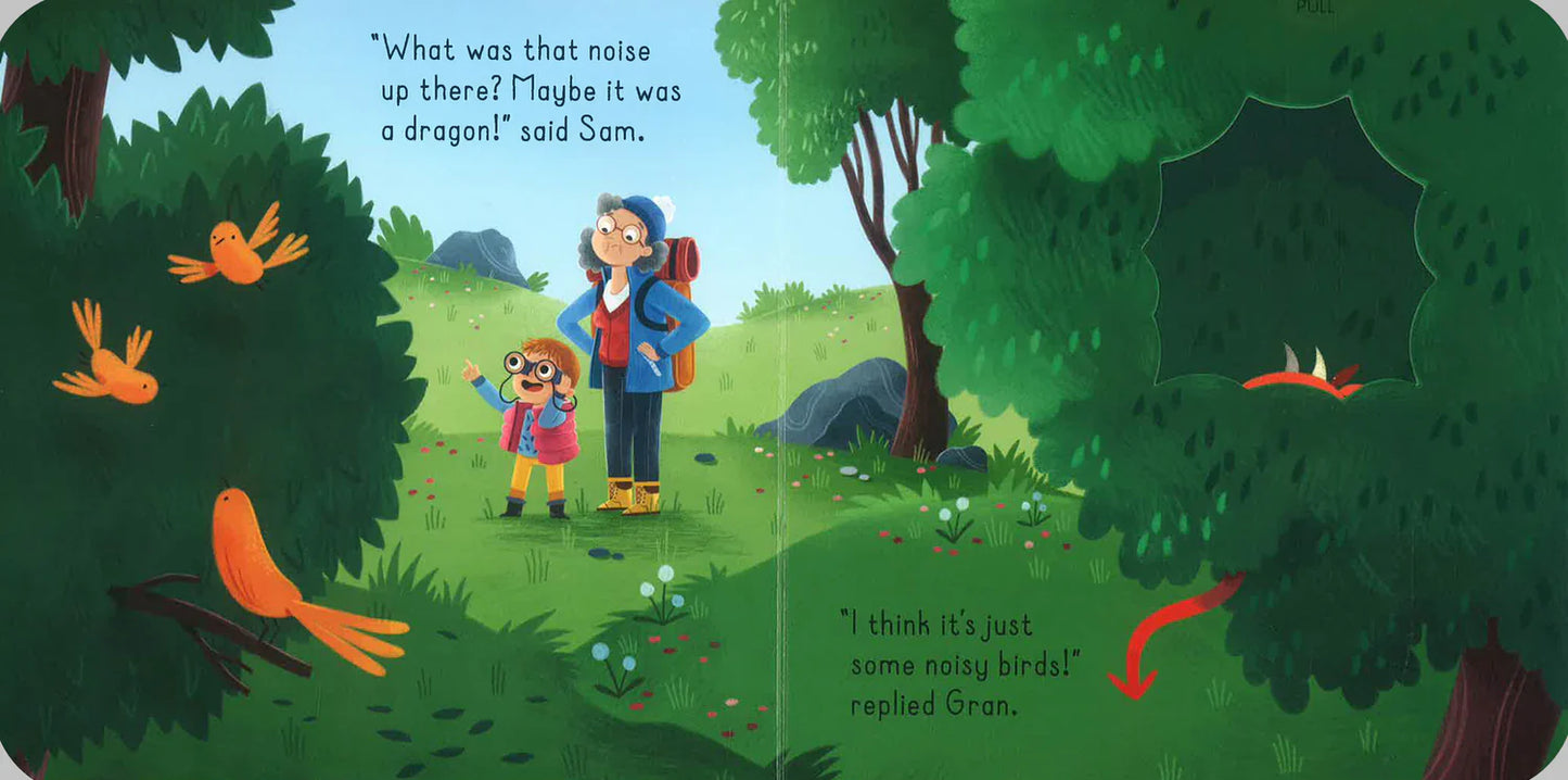 Hide & Peek Dragon - A Lift, Pull & Pop Book (Gobbledy Book Gift Special)