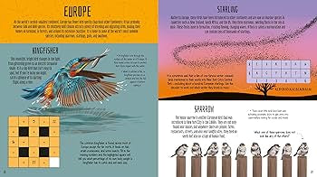 Birds of the World Activity Book - Take to the skies with puzzles, mazes and more