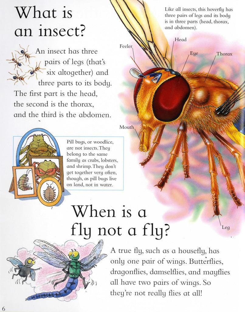 I Wonder Why - Spiders Spin Webs