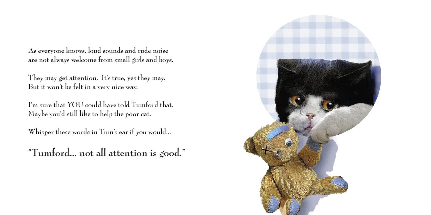 Tumford’s Rude Noises by Nancy Tillman