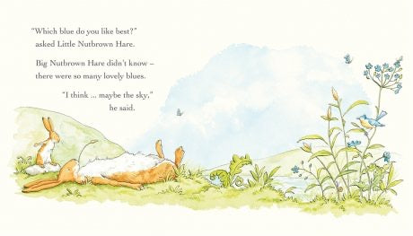 Guess How Much I Love You in the Summer by Sam McBratney & Anita Jeram