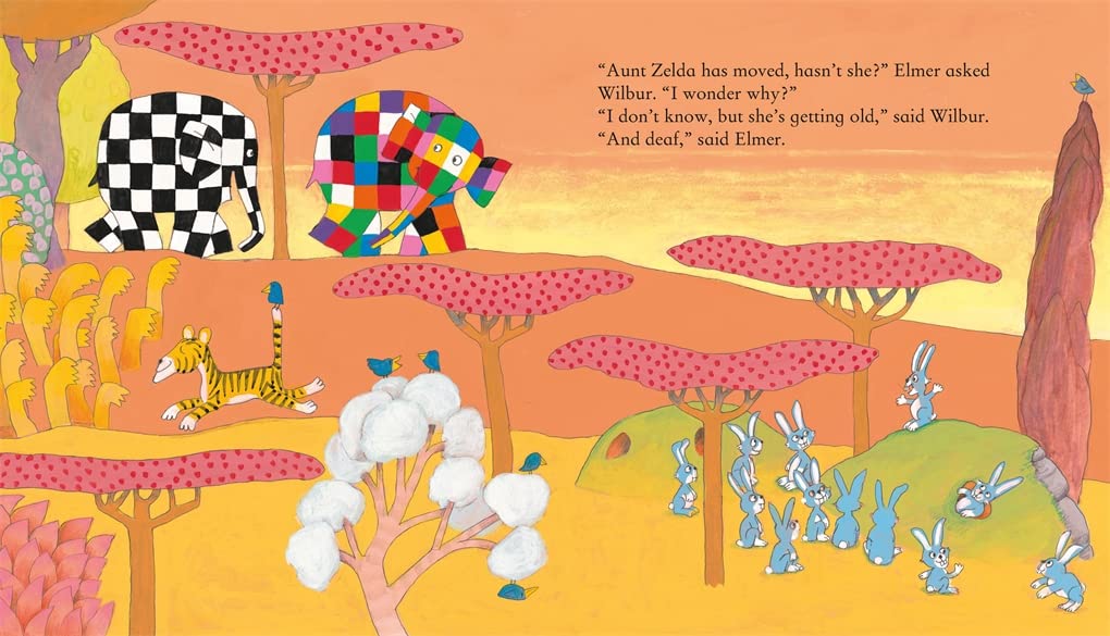 Elmer and Aunt Zelda by David McKee