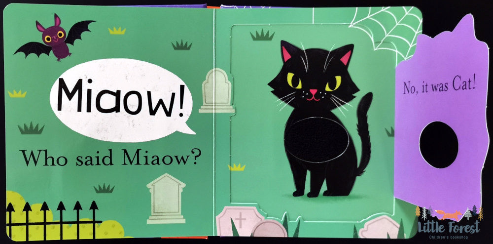 Who Said Boo? A Lift the Flap Touch & Feel Book