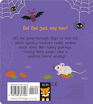 Who Said Boo? A Lift the Flap Touch & Feel Book