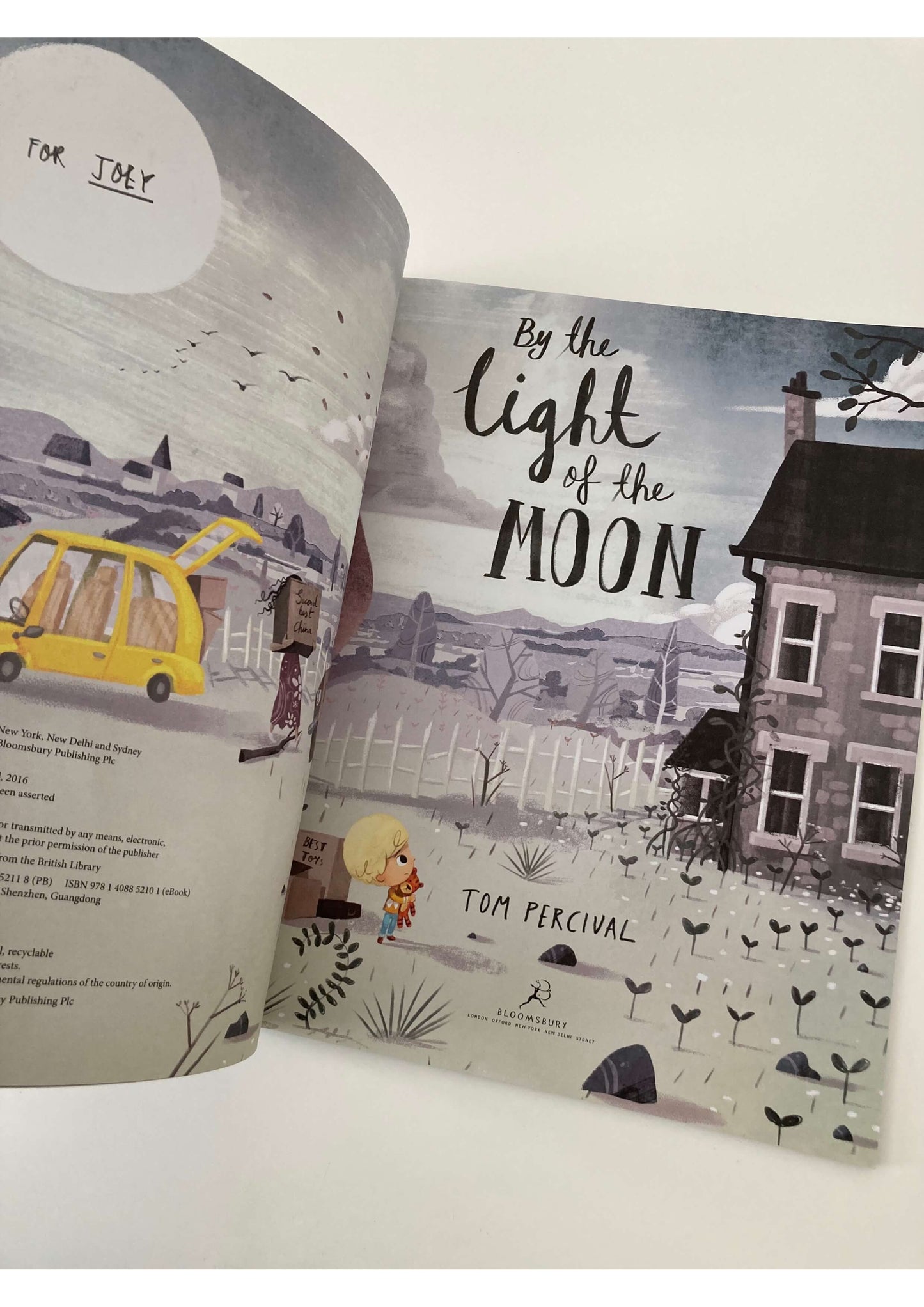 By the Light of the Moon by Tom Percival