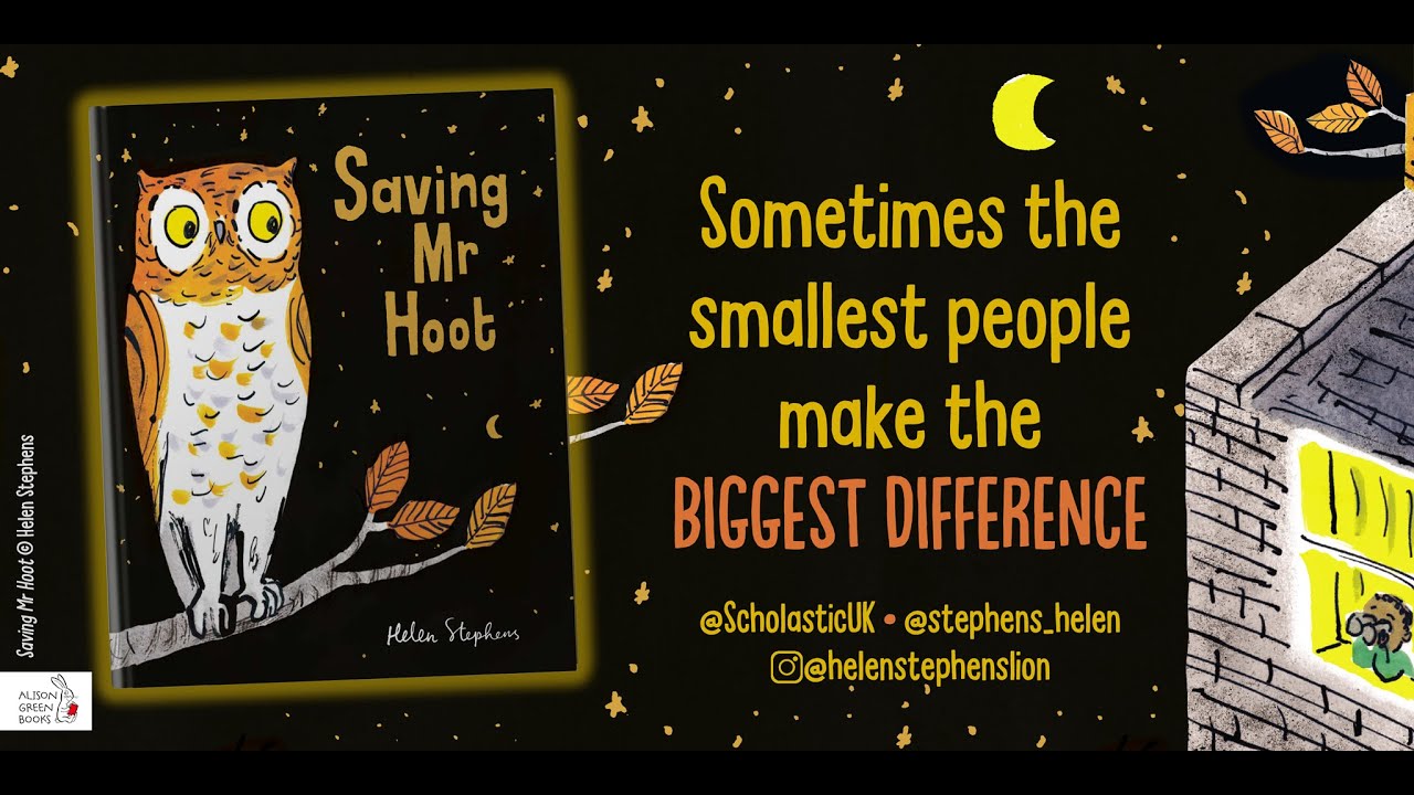 Saving Mr Hoot by Helen Stephens