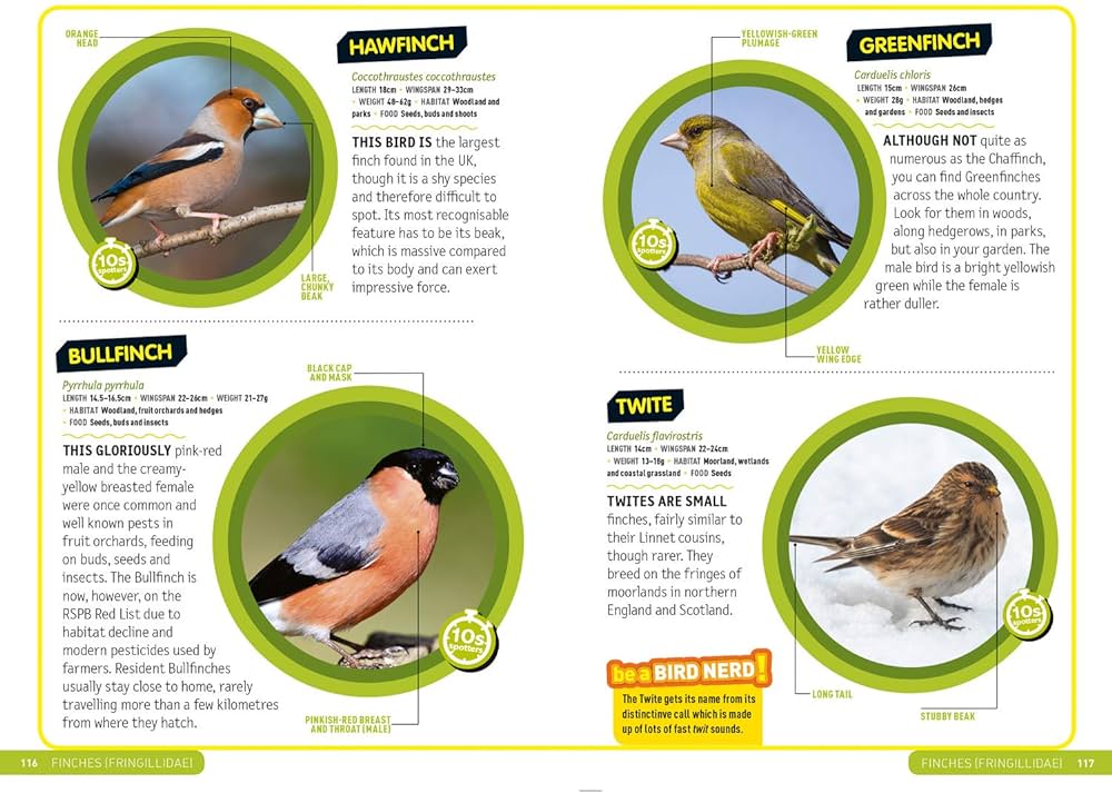 Birds Ultimate Explorer Field Guide (National Geographic)