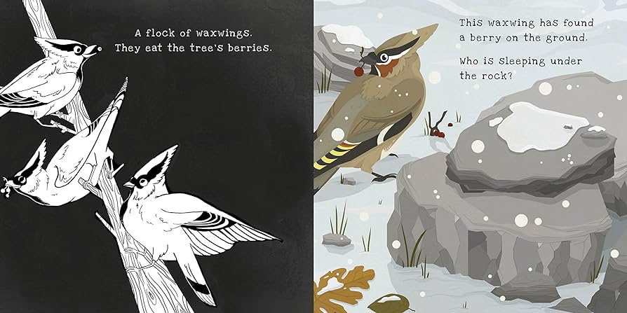 Secrets of Winter - A Shine A Light Book