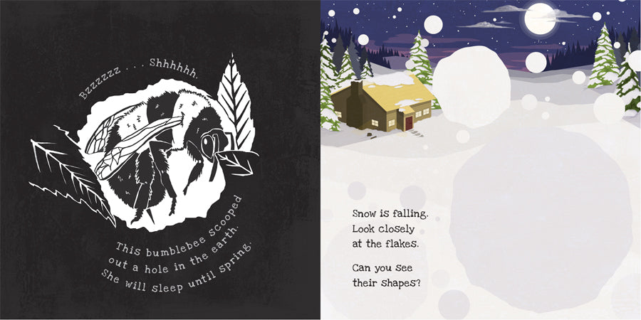 Secrets of Winter - A Shine A Light Book
