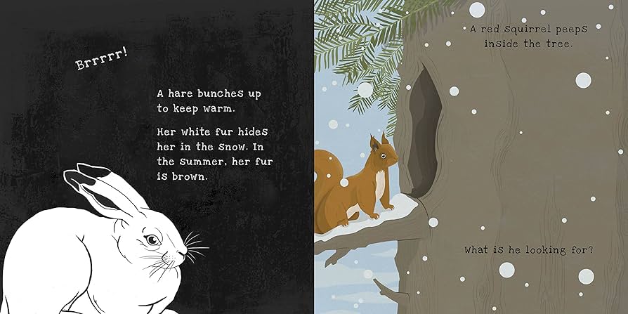 Secrets of Winter - A Shine A Light Book