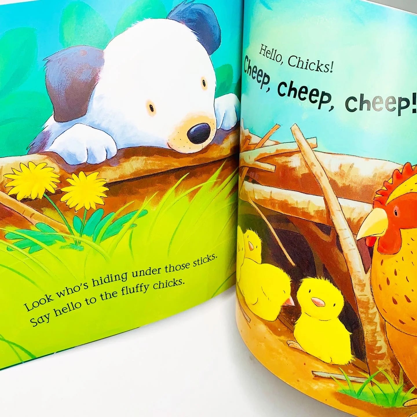 Say Hello to the Animals by Ian Whybrow & Tim Warnes