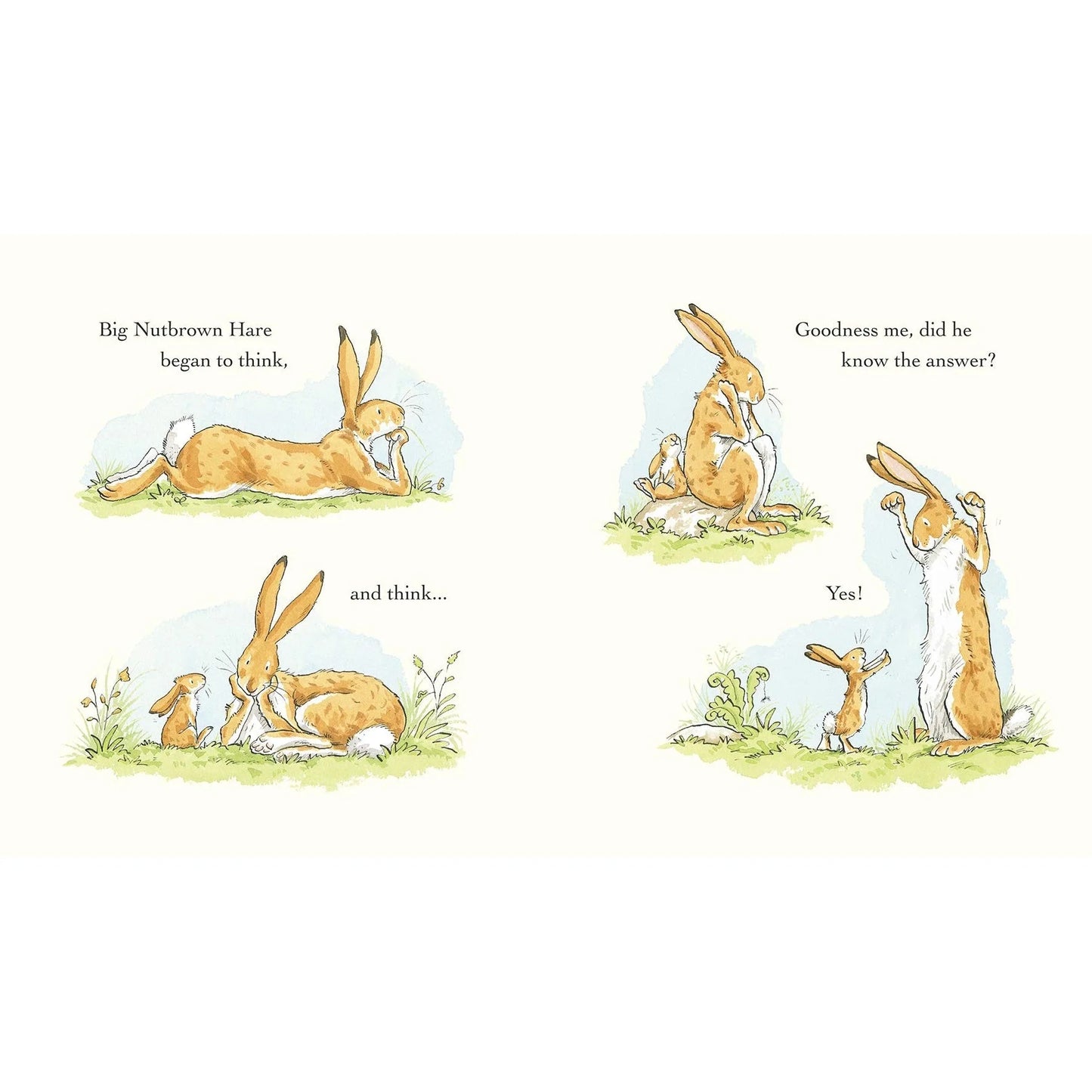Guess How Much I Love You in the Spring by Sam Mc Bratney & Anita Jeram