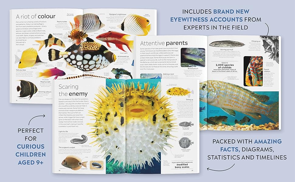 DK Eyewitness Fish (new edition)