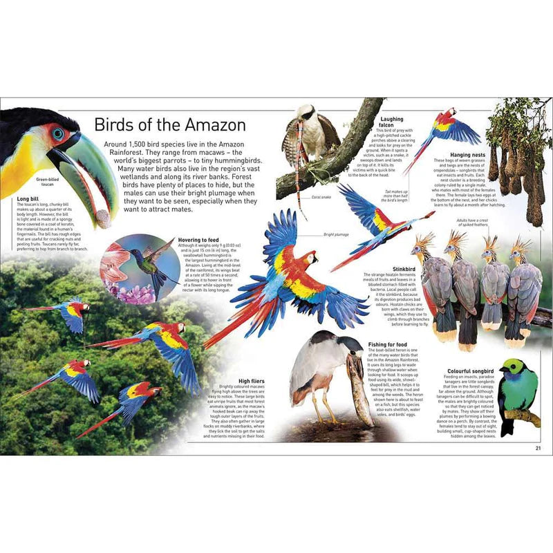 DK Eyewitness Amazon (new edition)