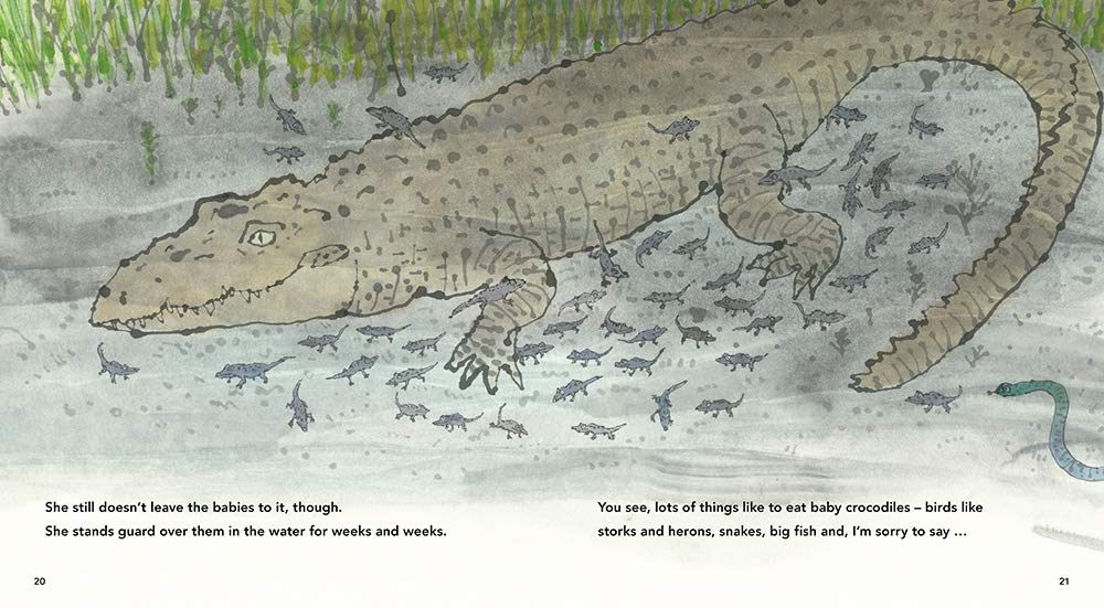 Beware of the Crocodile by Martin Jenkins and Satoshi Kitamura