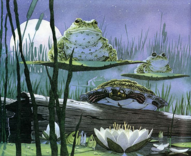Tuesday by David Wiesner