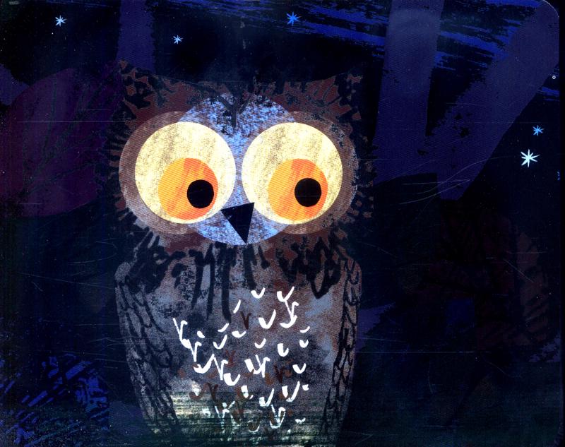 Wow! It’s Nightime by Tim Hopgood