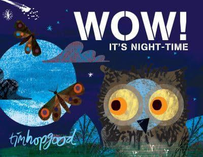 Wow! It’s Nightime by Tim Hopgood