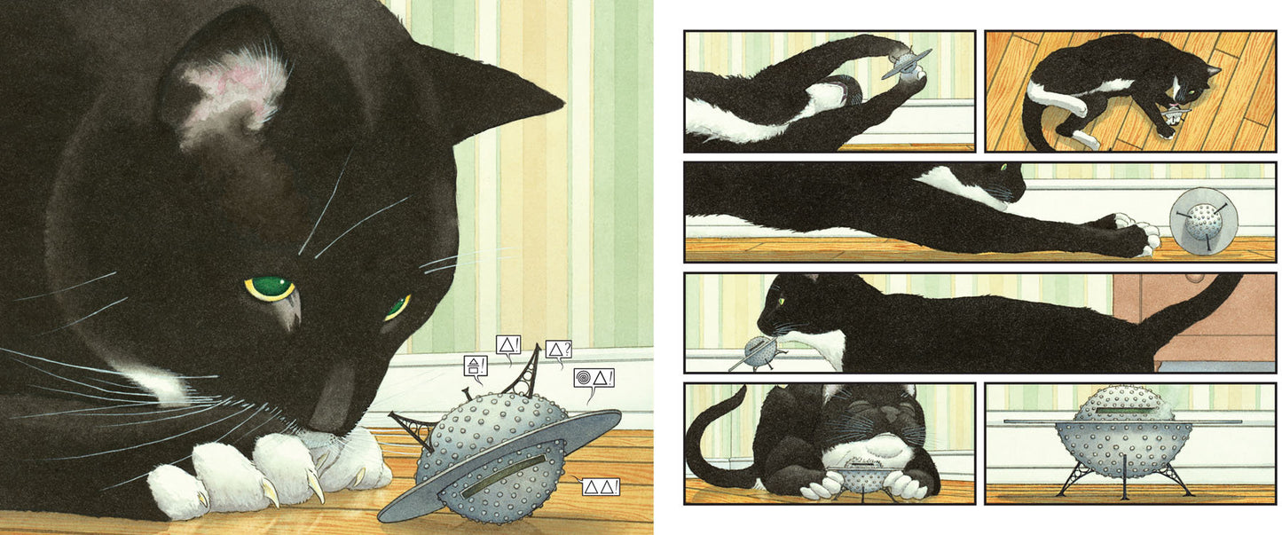 Mr Wuffles! by David Wiesner
