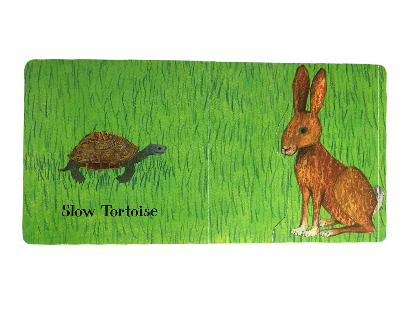 Who is the Biggest? A Lift the Flap Book by Petr Horáček