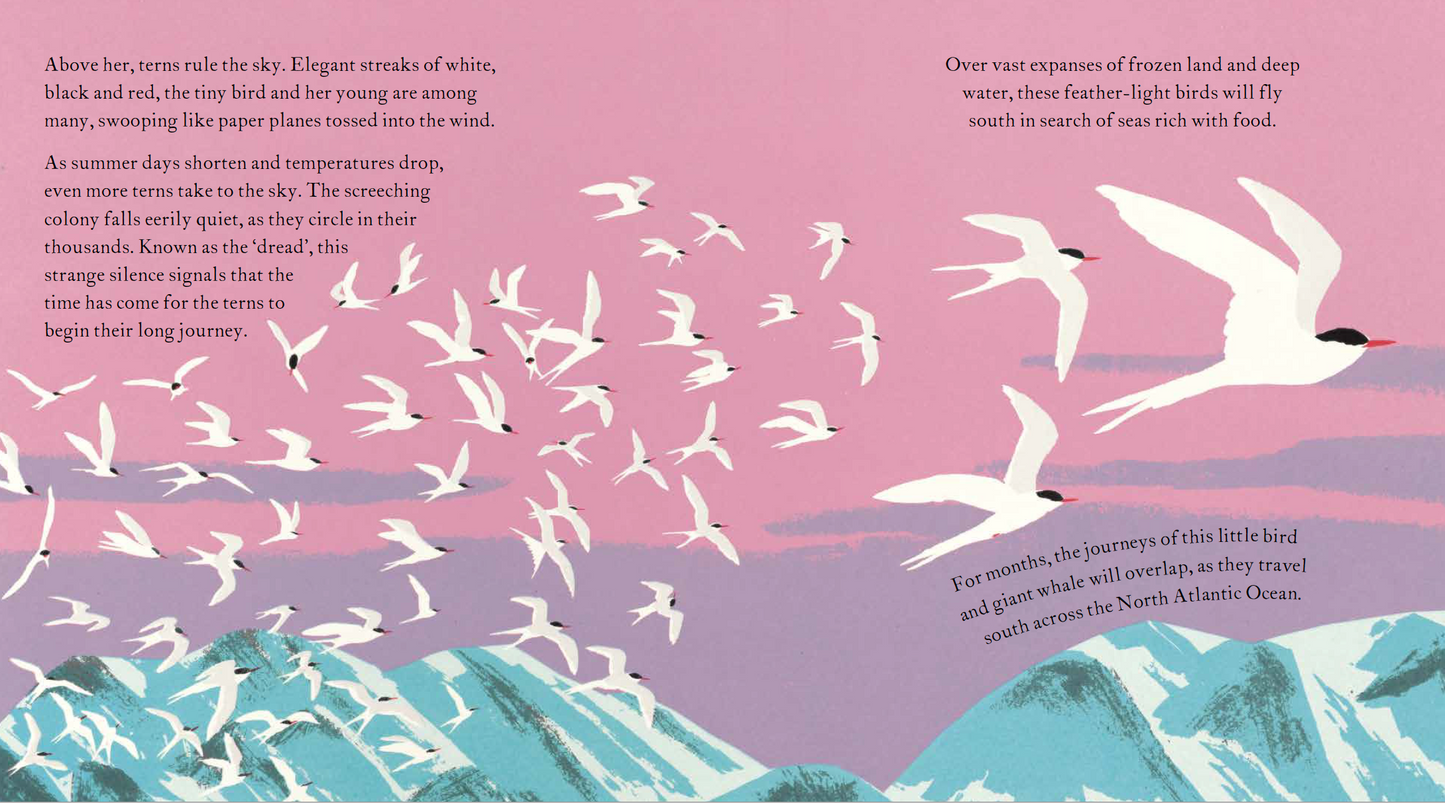 The Sea Swallow and the Humpback Whale by Catherine Barr and Gerry Turley