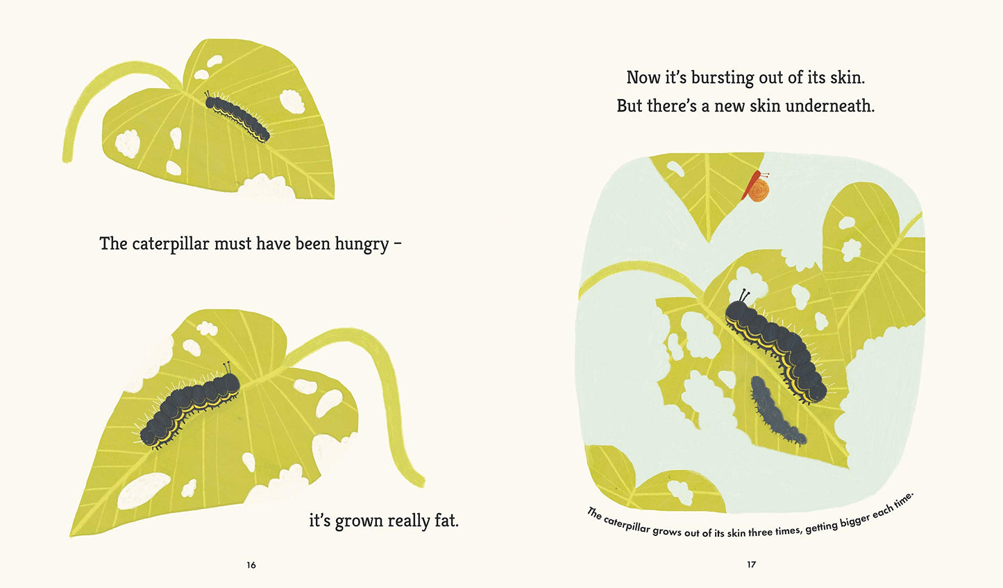 Caterpillar and Bean by Martin Jenkins and Hannah Tolson