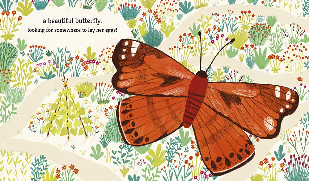 Caterpillar and Bean by Martin Jenkins and Hannah Tolson
