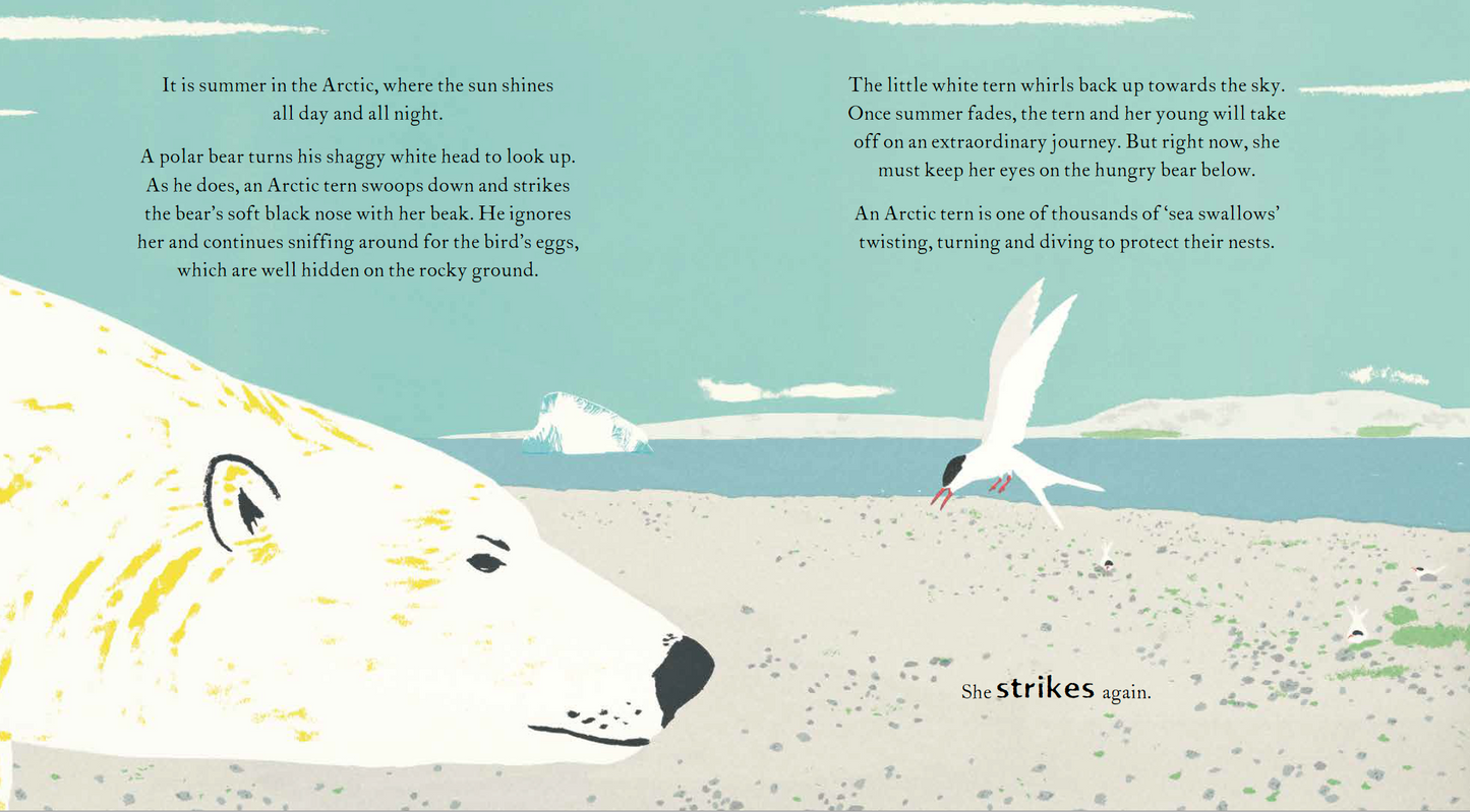 The Sea Swallow and the Humpback Whale by Catherine Barr and Gerry Turley