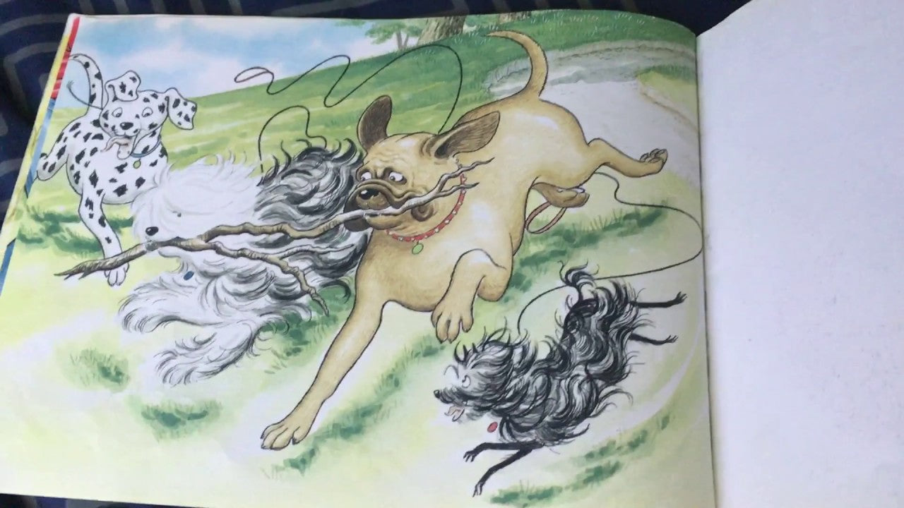 Hairy Maclary, Sit by Lynley Dodd