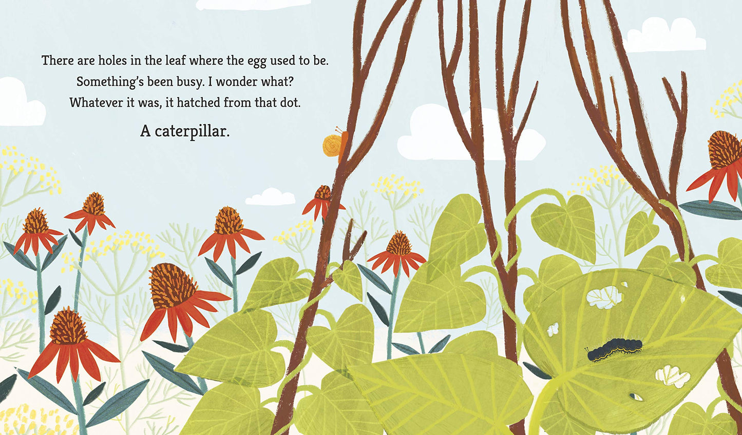 Caterpillar and Bean by Martin Jenkins and Hannah Tolson