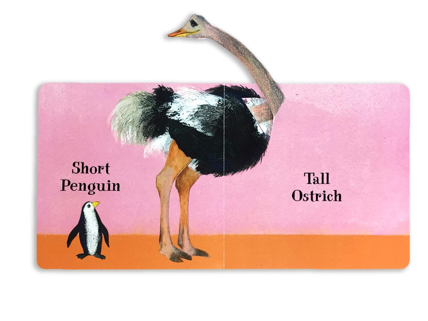 Who is the Biggest? A Lift the Flap Book by Petr Horáček