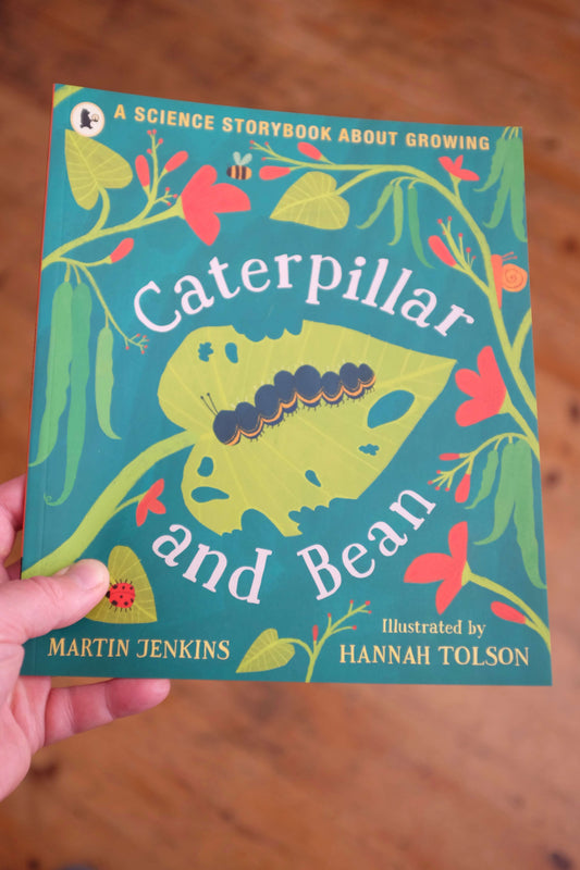 Nature Book - Caterpillar and Bean