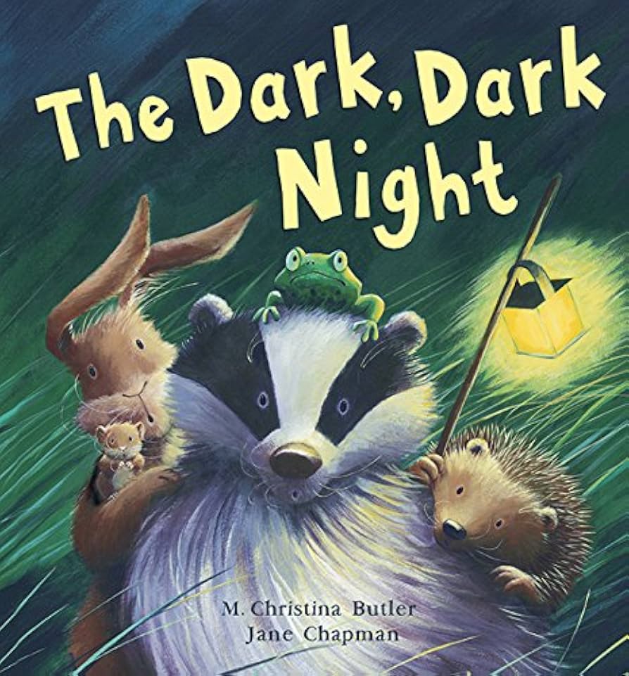 The Dark, Dark Night by M Christina Butler & Jane Chapman