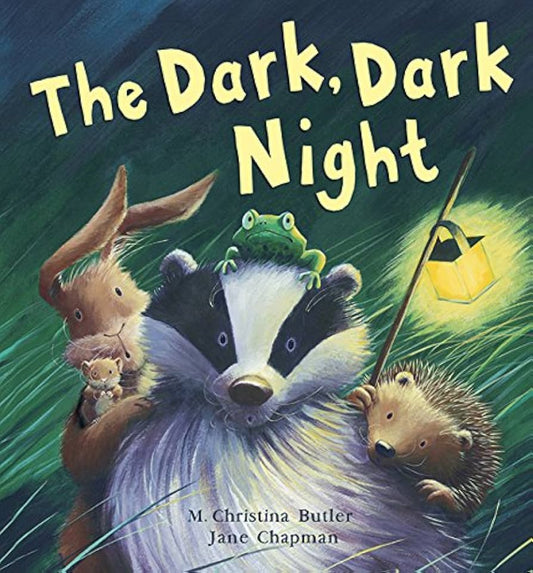 The Dark, Dark Night by M Christina Butler & Jane Chapman