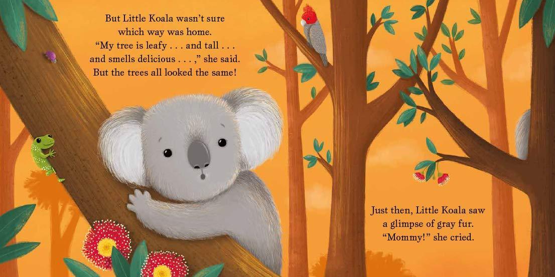Cuddle Close, Little Koala by Danielle McLean