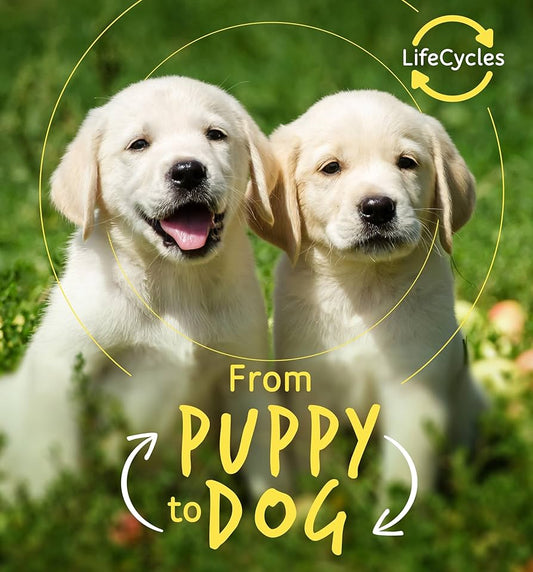 From Puppy to Dog - Lifecycles