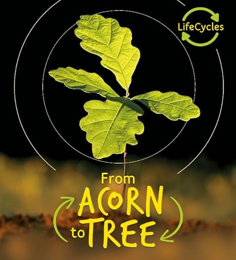 From Acorn to Tree - Lifecycles