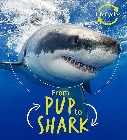 From Pup to Shark - Lifecycles