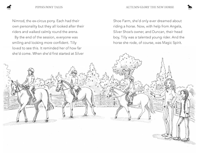 Pippa’s Pony Tales - Autumn Glory - The New Horse