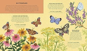 A Summer Treasury of Recipes, Crafts & Wisdom - Ivy Kids Planet Friendly Books