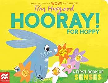 Hooray! for Hoppy - A First Book of Senses by Tim Hopgood (Board Book)