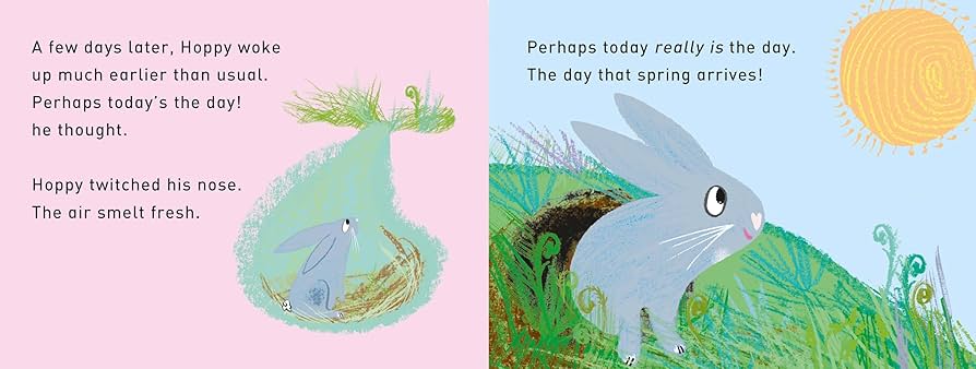 Hooray! for Hoppy - A First Book of Senses by Tim Hopgood (Board Book)
