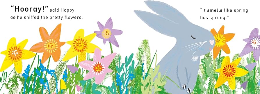 Hooray! for Hoppy - A First Book of Senses by Tim Hopgood (Board Book)