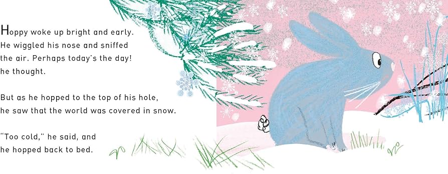 Hooray! for Hoppy - A First Book of Senses by Tim Hopgood (Board Book)