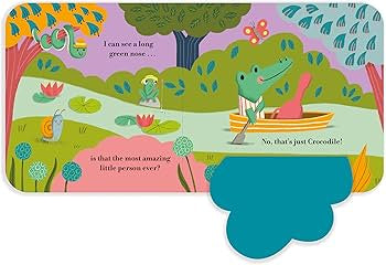 Who’s Amazing? Board Book With Soft Flaps & A Mirror by Camilla Reid