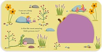 Who’s Amazing? Board Book With Soft Flaps & A Mirror by Camilla Reid