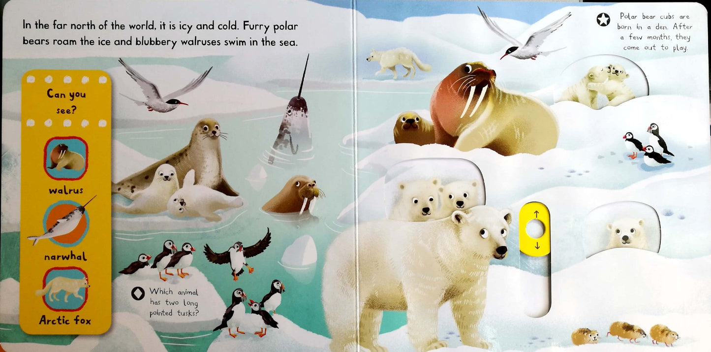 Snowy Animals - First Explorers PUSH PULL SLIDE (Board Book)