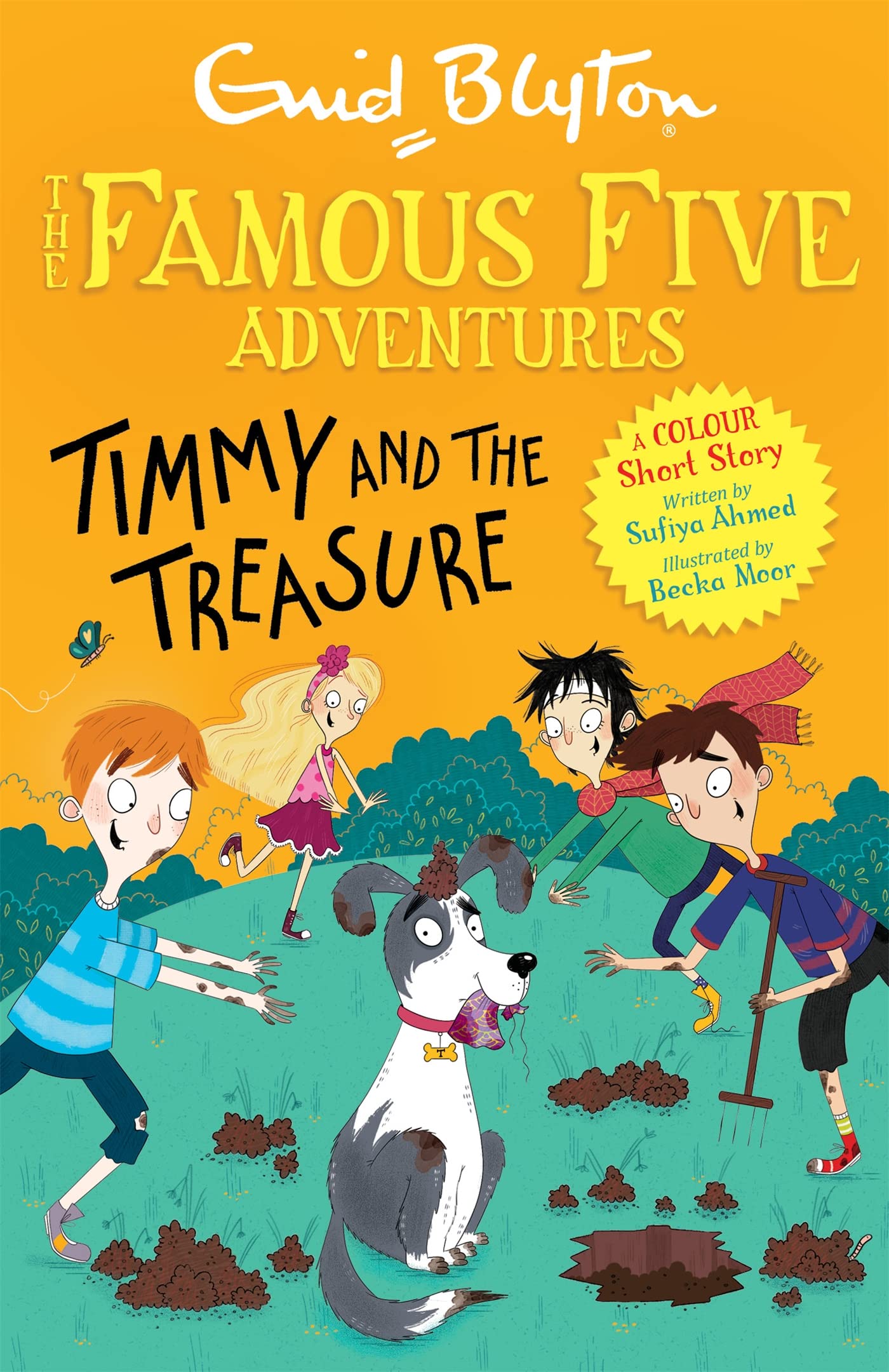 The Famous Five Adventure - Timmy and the Treasure by Enid Blyton