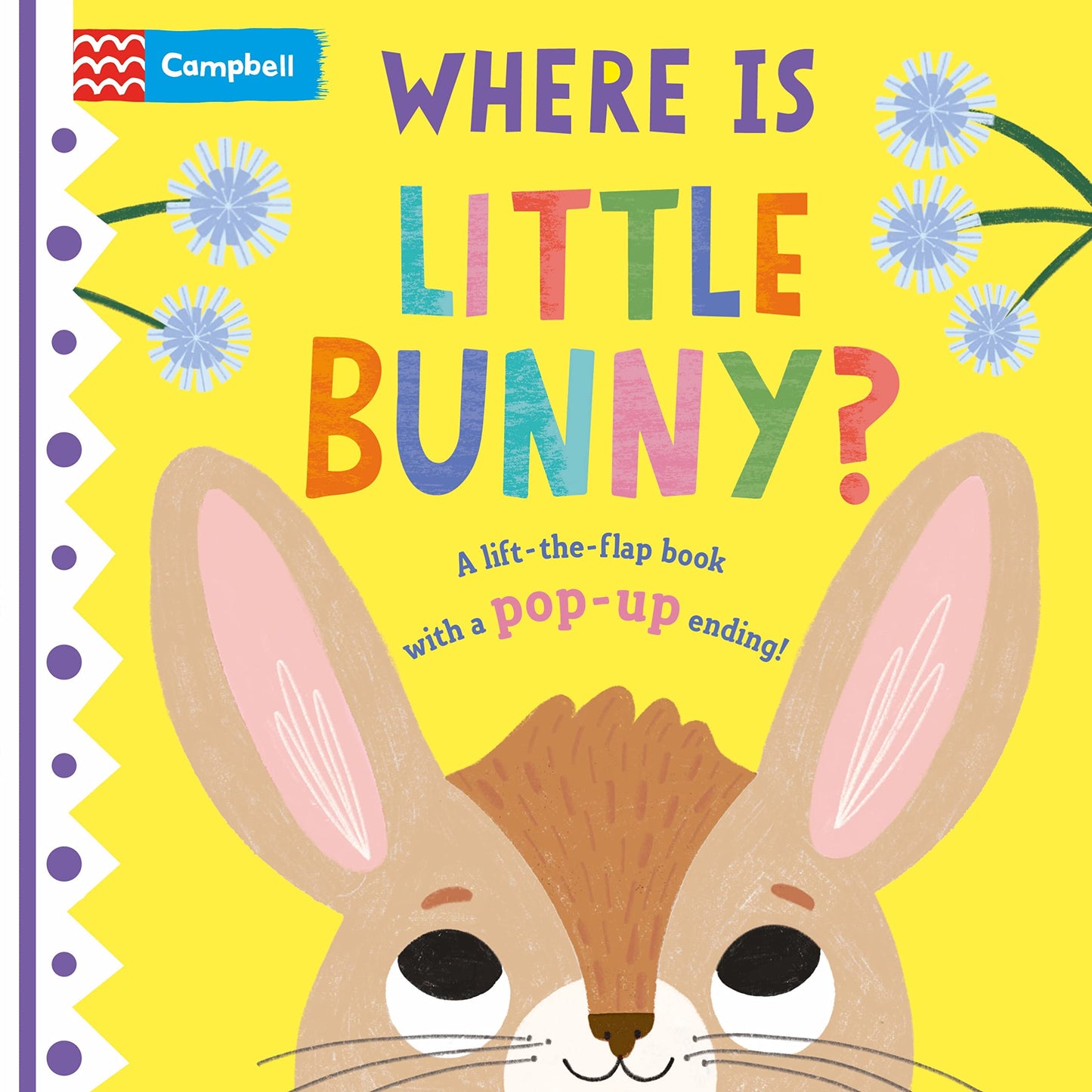 Where is Little Bunny? - A Lift-the-Flap Book with a POP UP Ending!